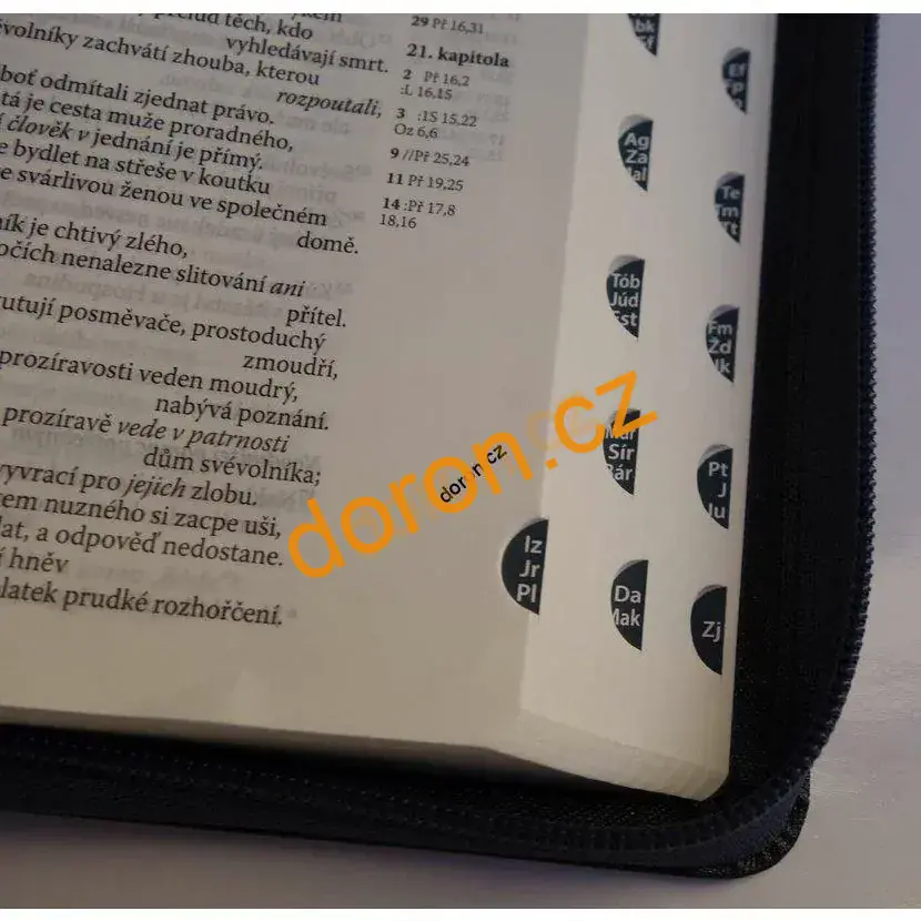 Bible ČEP s DT, velký formát, ocelově šedá, zip