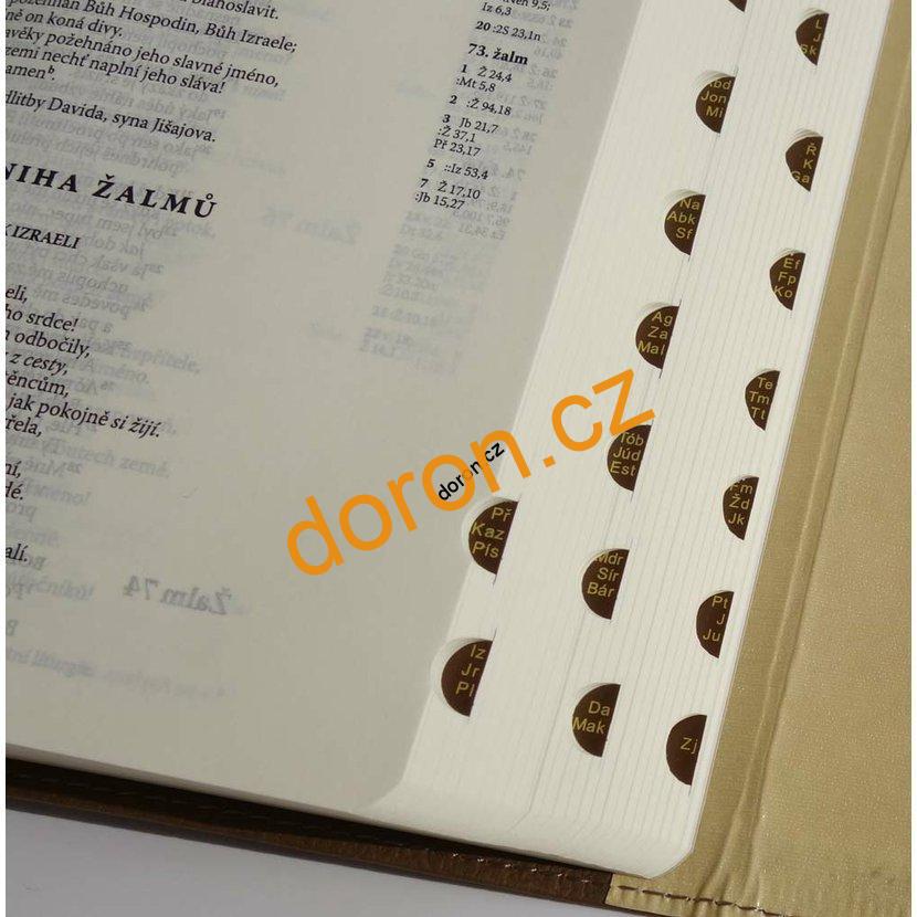 Bible ČEP s DT, malý formát, magnet, vínová