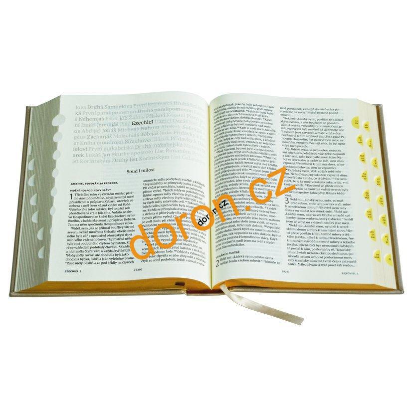 Bible ČEP s DT, rodinná, ocelově modrá
