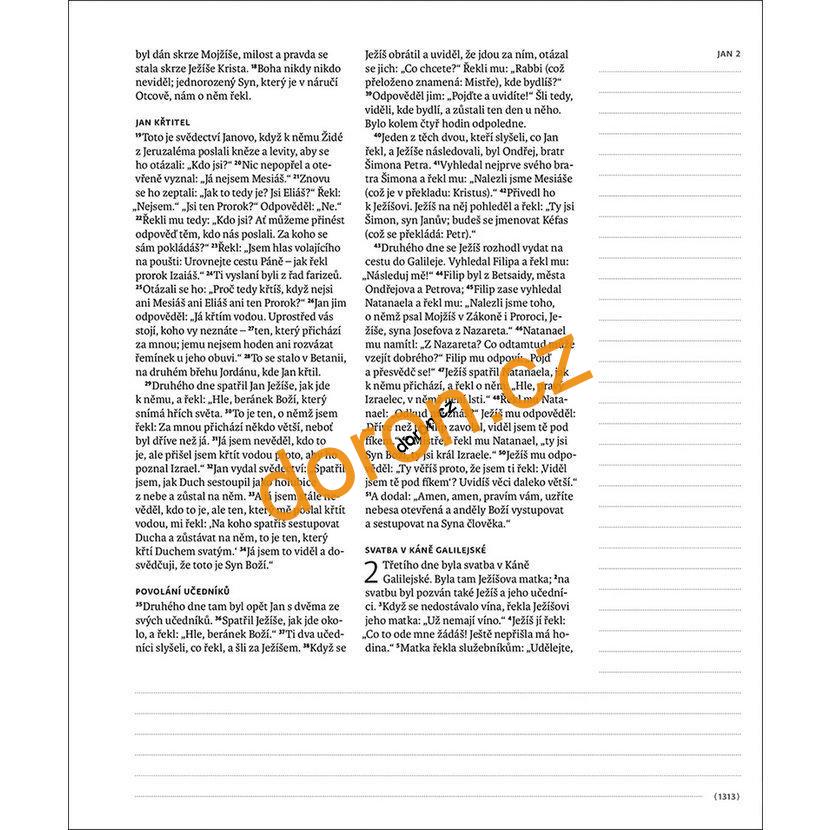 Bible ČEP s DT, Poznámková, korálová