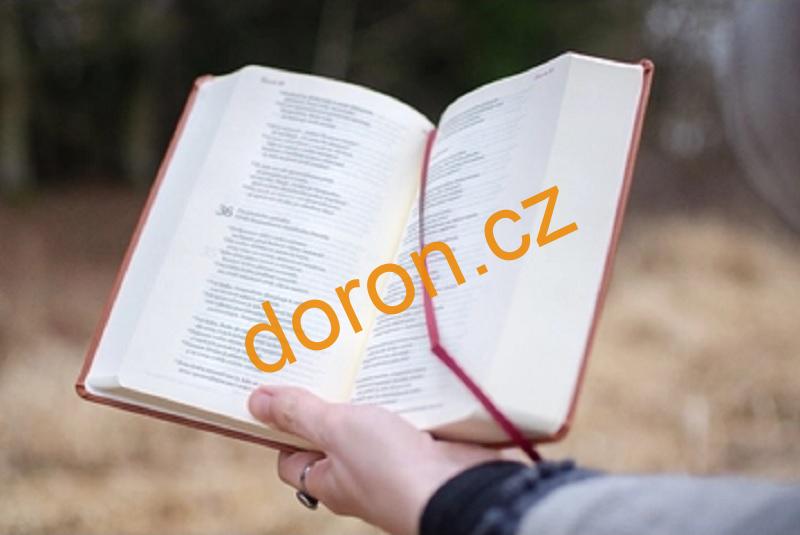 Bible 21-umělá kůže, hnědá 