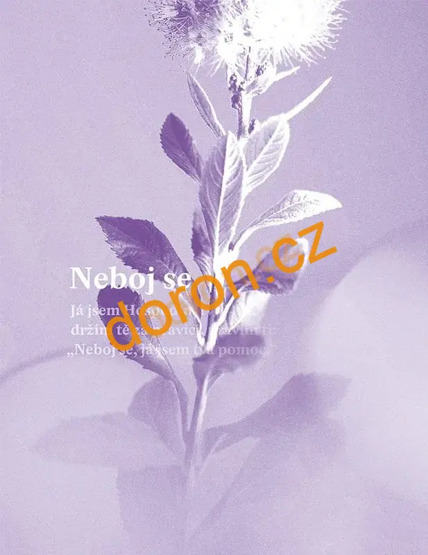 Slova potěšení a povzbuzení