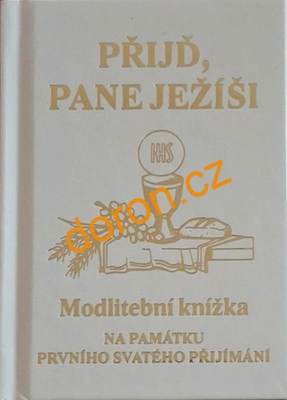 Přijď, pane Ježíši. Modlitební knížka