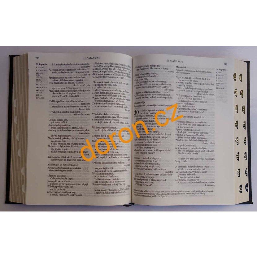 Bible ČEP bez DT, velký formát, luxus