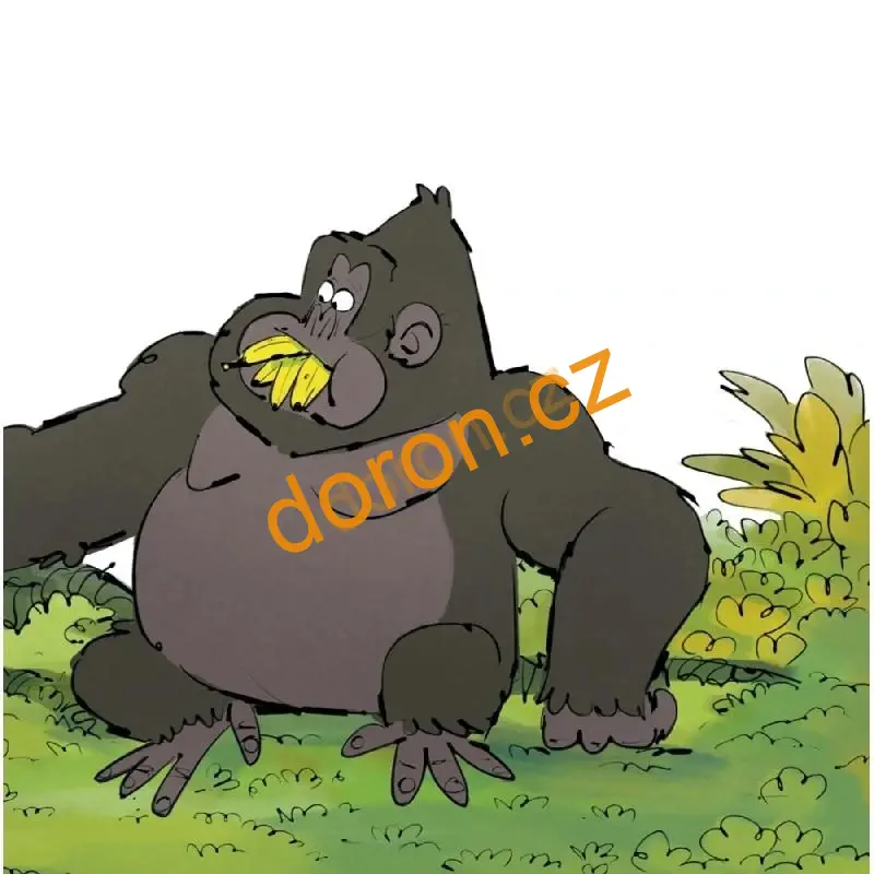 Nevrlý Ruda říká NE!     