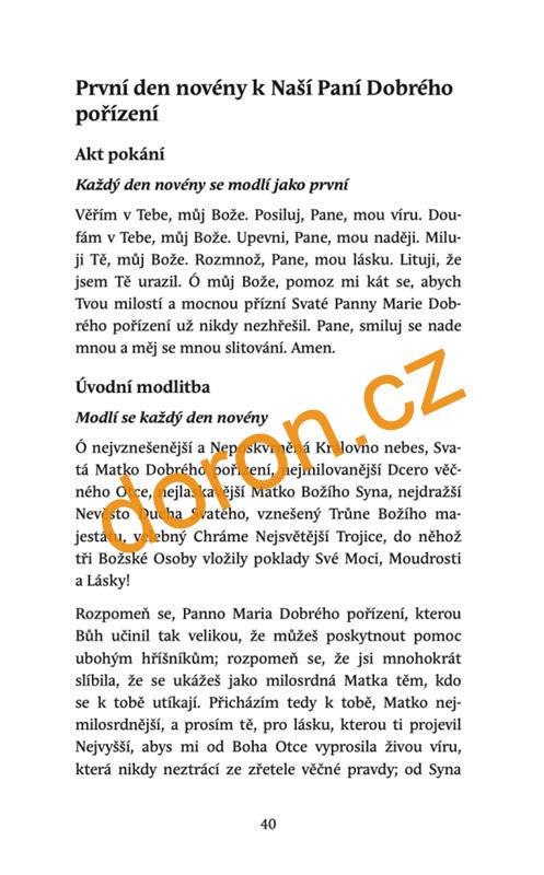 Naše Paní Dobrého pořízení a novéna