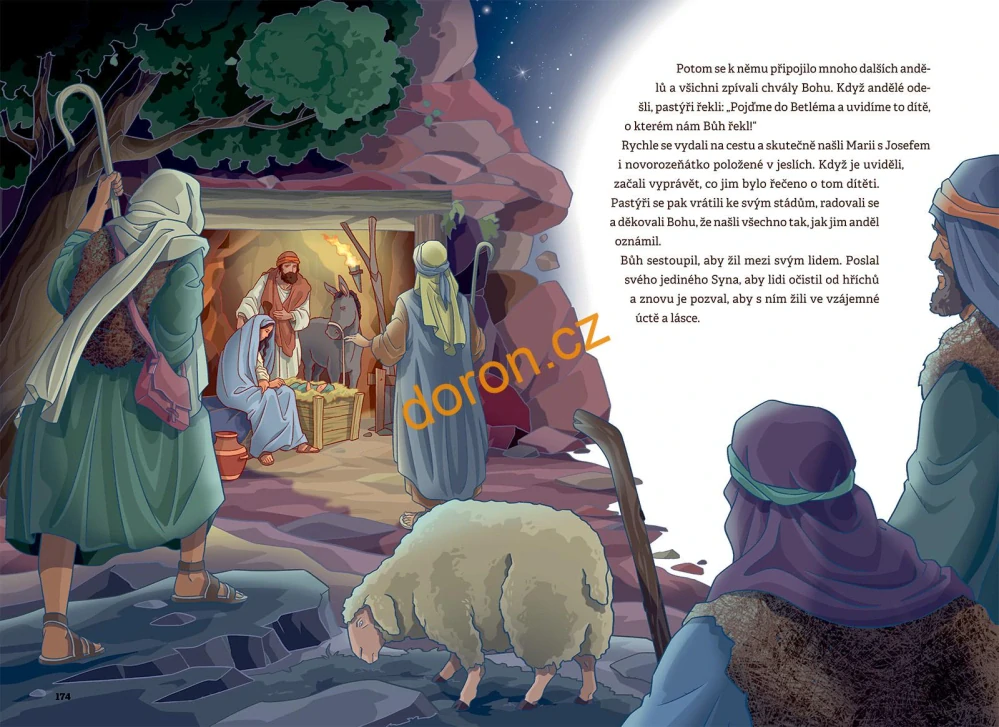 Junior Bible