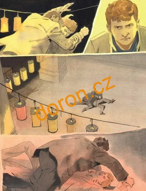 Záhada hlavolamu