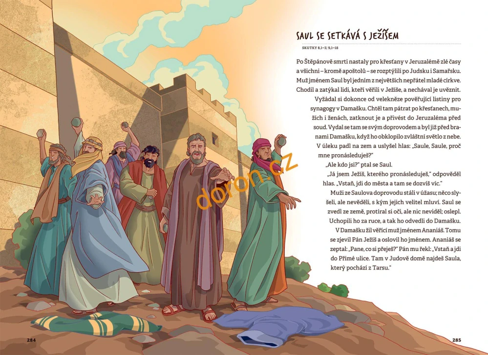 Junior Bible