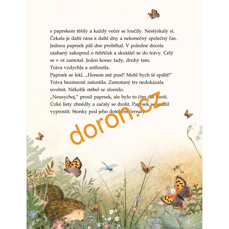 Omylem motýlem