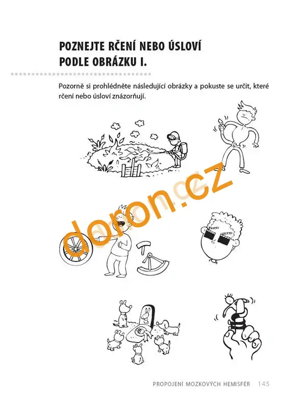 Obrazové luštění pro každý den