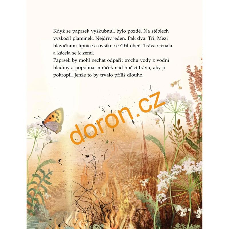 Omylem motýlem