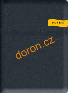 Bible ČEP s DT, malý formát, ocelově šedá, výřezy, zip