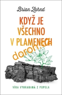 Když je všechno v plamenech