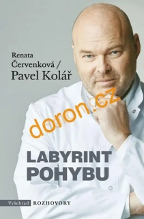 Labyrint pohybu       