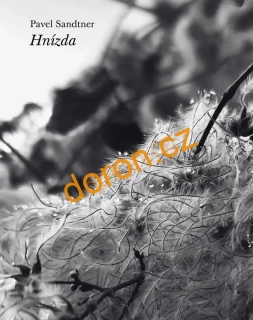 Hnízda