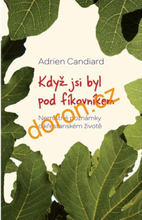 Když jsi byl pod fíkovníkem
