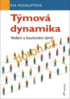 Týmová dynamika. Vedení a koučování týmů